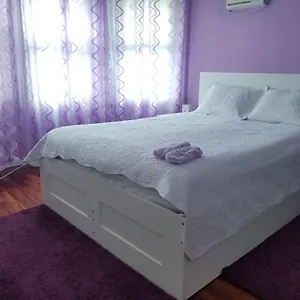 Homestay Maspeth House, New York